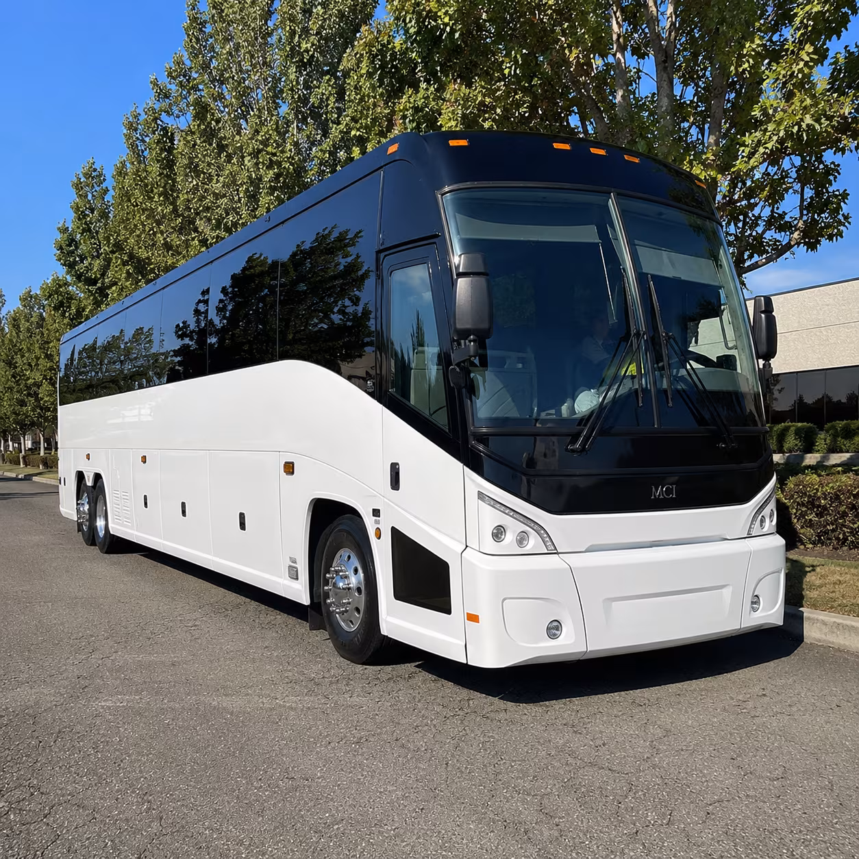 danbury 50 passenger charter bus